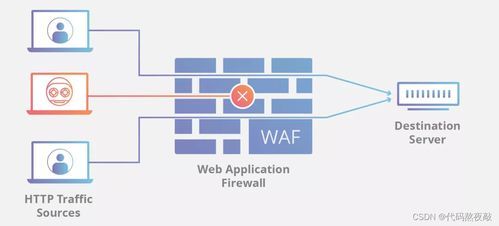 网络与信息安全软件开发中的编程语言选择指南